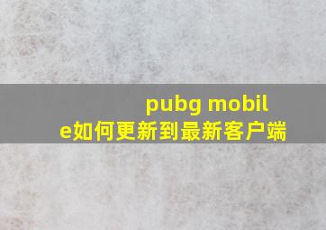 pubg mobile如何更新到最新客户端